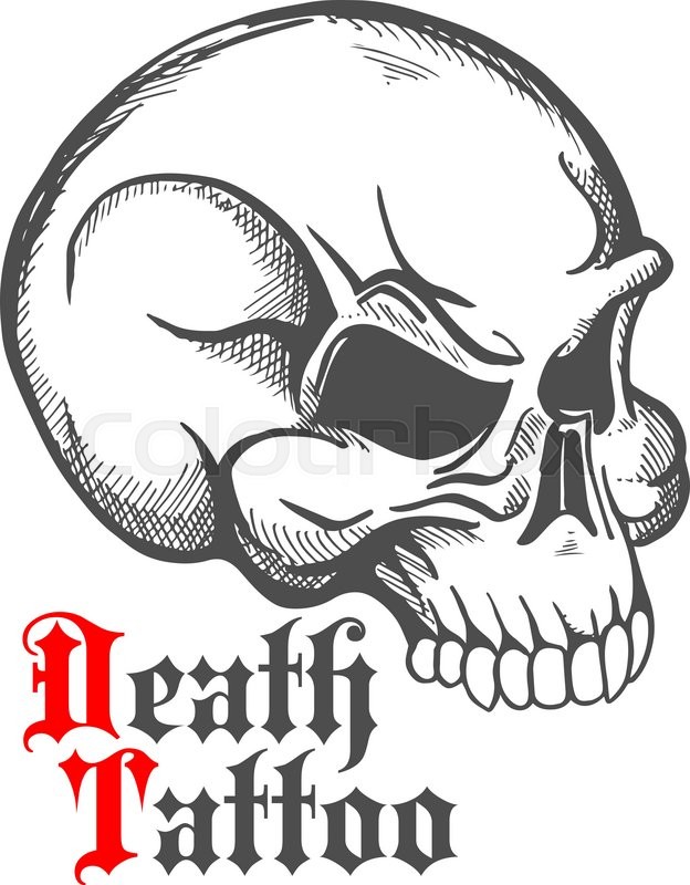 624x800 Decorative Vintage Sketch Of Human Skull For Tattoo Or Death - Human Profile Sketch