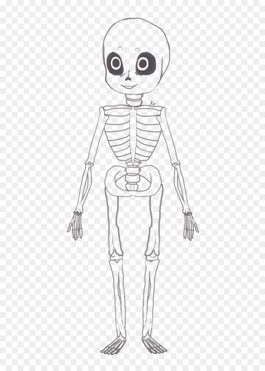 900x1260 Human Skeleton Drawing Sketch - Human Skeleton Sketch