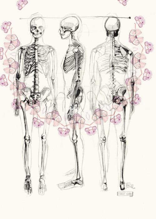 500x700 Human Skeleton Drawing - Human Skeleton Sketch