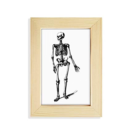 425x425 - Human Skeleton Sketch