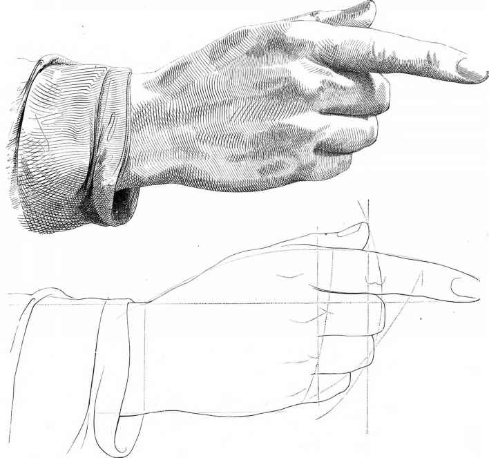 708x663 Sketches Of Human Anatomy - Human Sketch