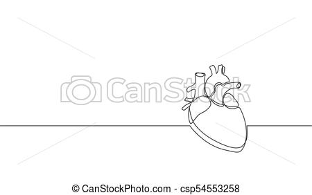 450x282 Single Continuous Line Art Anatomical Human Heart Silhouette - Human Sketch Outline