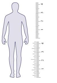 202x290 Human Outline Drawing - Human Sketch Outline