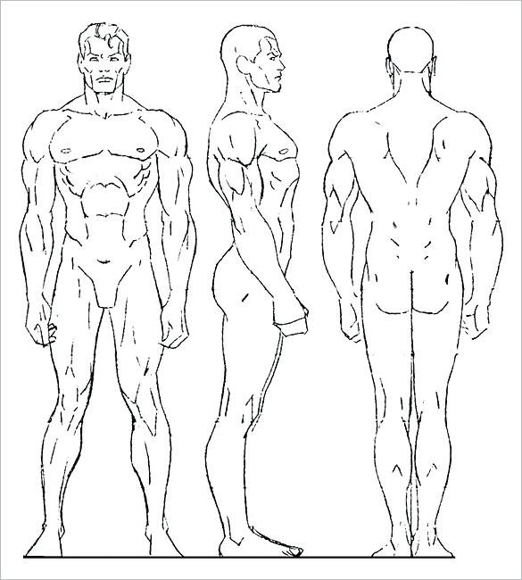 585x650 Template Human Outline Child Body Template Printable Pdf. Outline - Human Sketch Outline