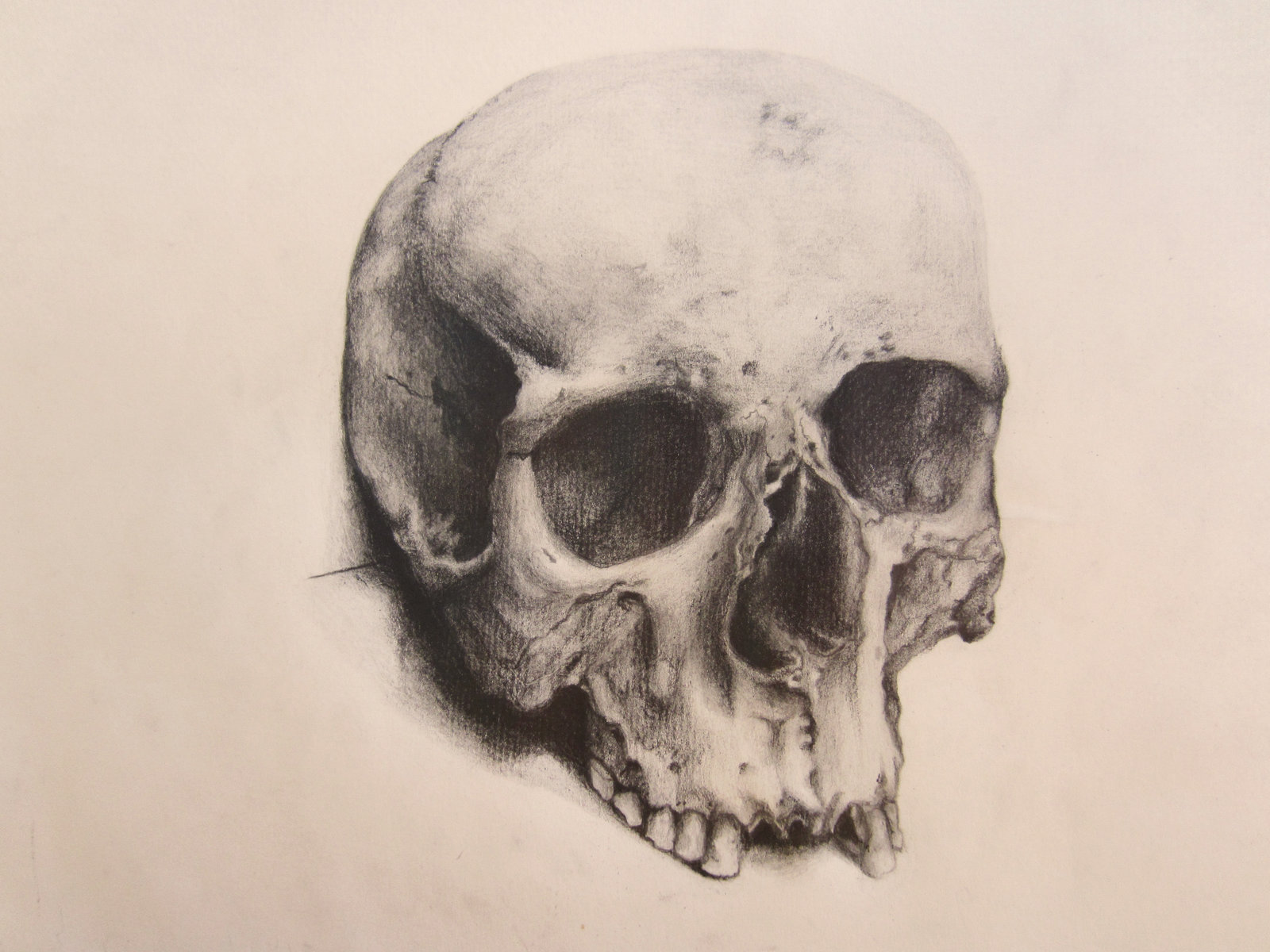 1600x1200 Human Skull By Backhendl - Human Skull Sketch