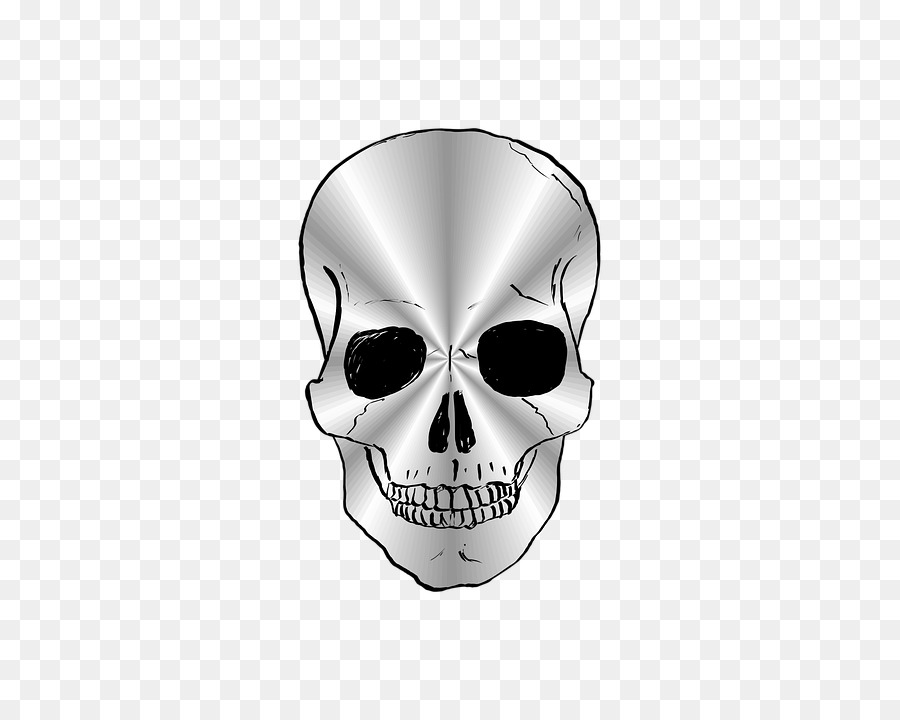 900x720 Human Skull Symbolism Image Euclidean Vector Skeleton - Human Skull Sketch