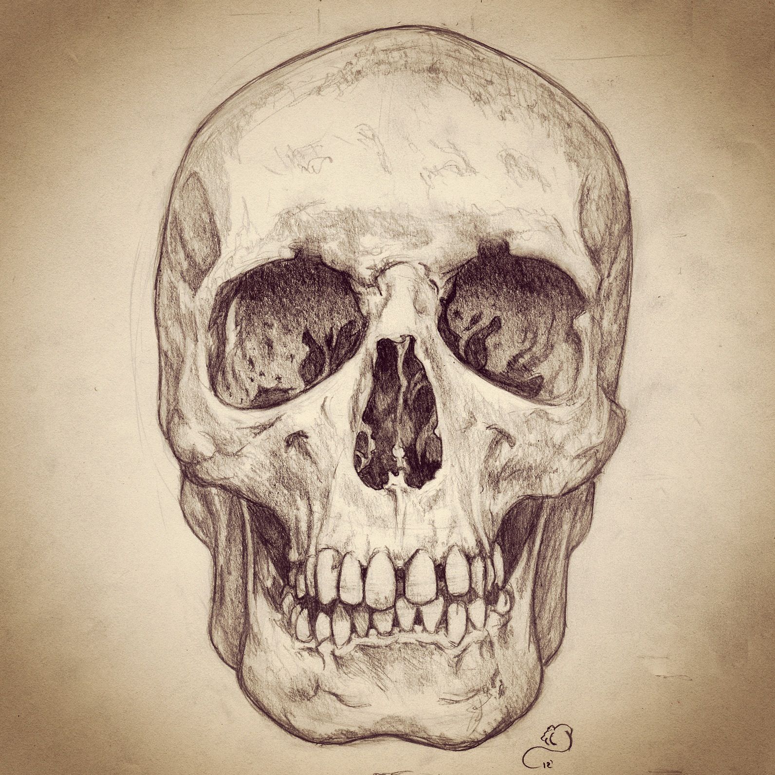 1592x1592 Pencil Sketch Of Human Skull Skulls Drawings - Human Skull Sketch