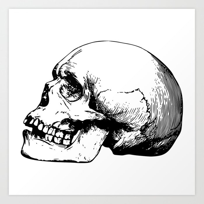 700x700 Side View Of Human Skull Illustration Art Print By Pixxart Society6 - Human Skull Sketch