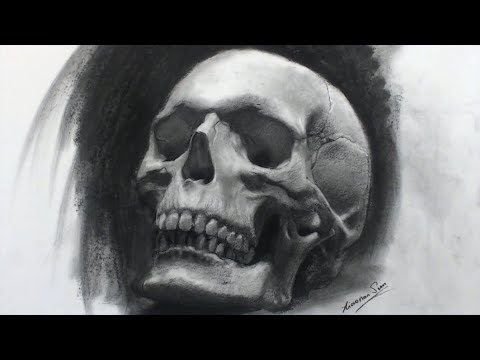 480x360 Drawing The Human Skull - Human Skull Sketch
