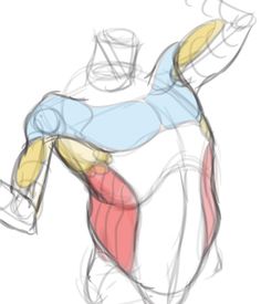 human torso sketch