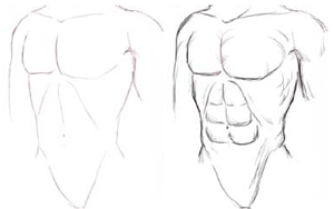 300x188 Figure Drawing How To Draw Human Body, Torso With Lesson And - Human Torso Sketch