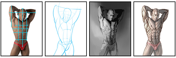 600x201 How To Draw And Shade The Human Torso Proko - Human Torso Sketch
