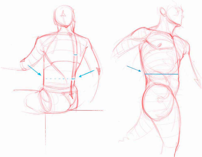 840x656 Using The Pencil Test In Figure Drawing Quarto Knows Blog - Human Torso Sketch