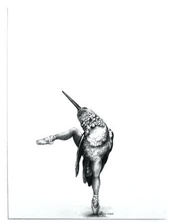 350x451 Adonna Khare Coloring Book Pages For Kids Online Large Scale - Hummingbird Pencil Sketch