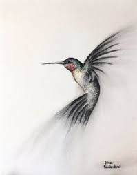 199x254 Image Result For Tiny Hummingbirds Pencil Drawing Tattoo Ideas - Hummingbird Pencil Sketch