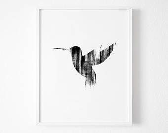 340x270 Hummingbird Sketch Etsy - Hummingbird Sketch