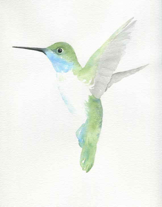 570x727 Watercolor Hummingbird Sketch Hummingbird Print Etsy - Hummingbird Sketch