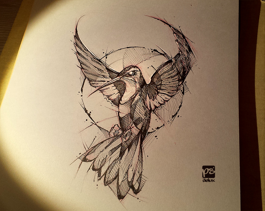 878x700 Hummingbird Sketch Da Psdelux By Psdeluxe - Hummingbird Sketch