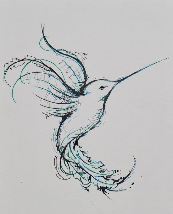 550x683 Hummingbird Sketch Tattoo Tattoos Amp Piercings - Hummingbird Sketch