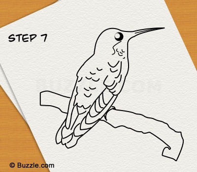 400x350 Step By Step Instructions To Draw A Hummingbird - Hummingbird Sketch Easy