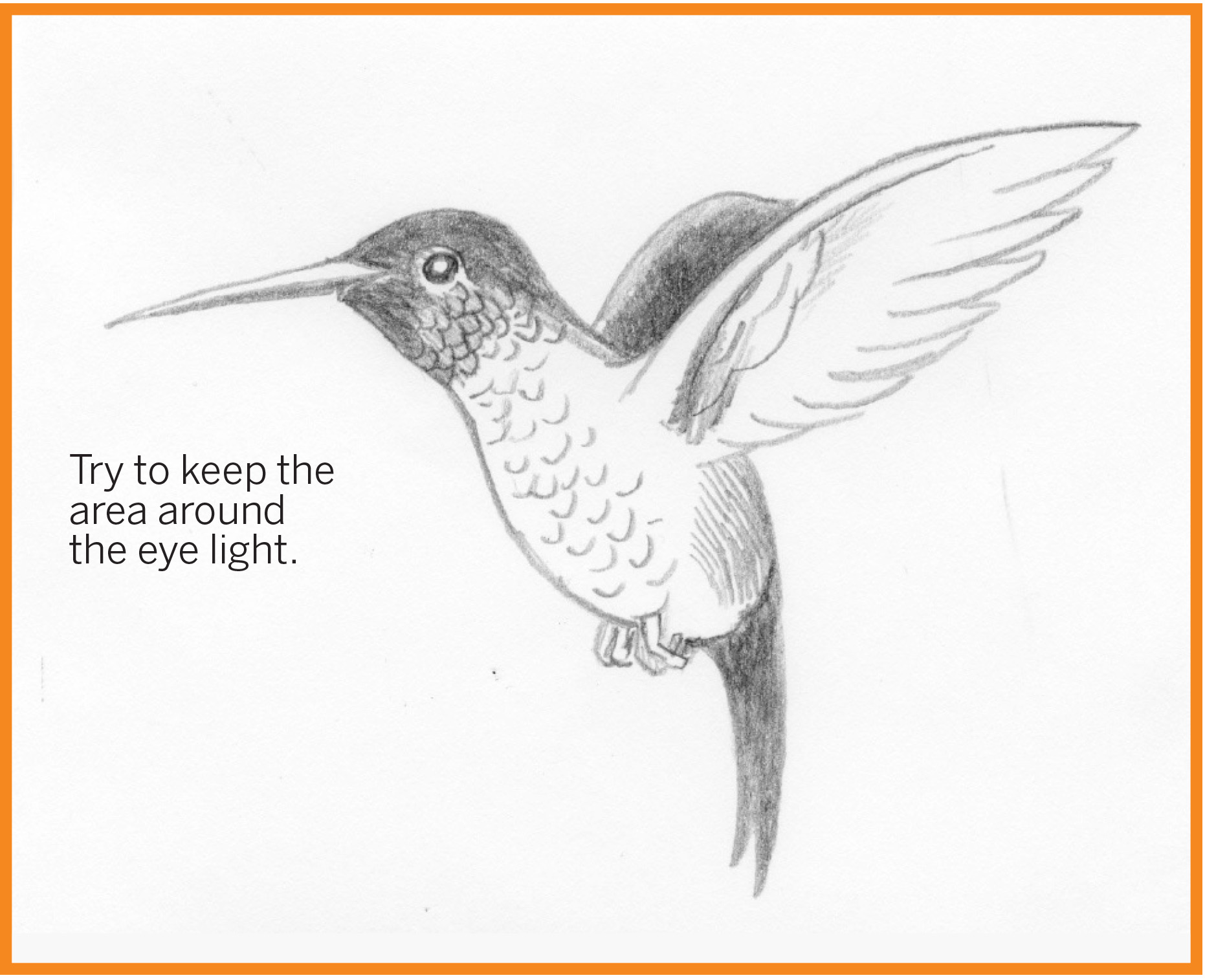 1862x1515 Drawn Hummingbird Bird Tail - Hummingbird Sketch Easy