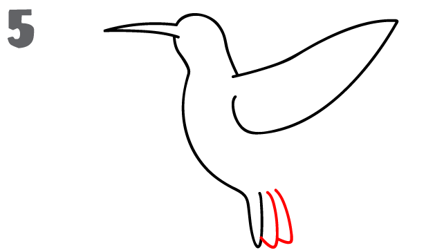 642x362 How To Draw A Hummingbird - Hummingbird Sketch Easy