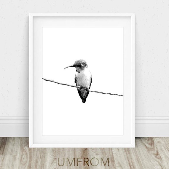 570x570 Hummingbird Drawing Hummingbird Print Hummingbird Sketch Etsy - Hummingbird Sketch Images
