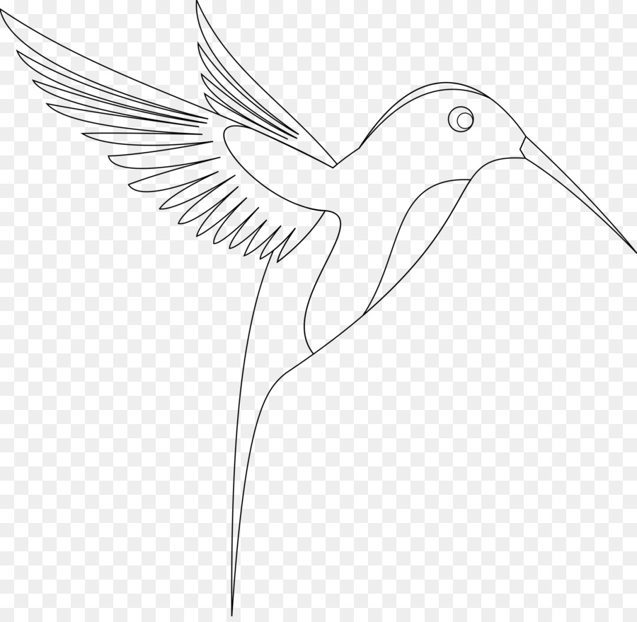 900x880 Hummingbird Sketch - Hummingbird Sketch Images