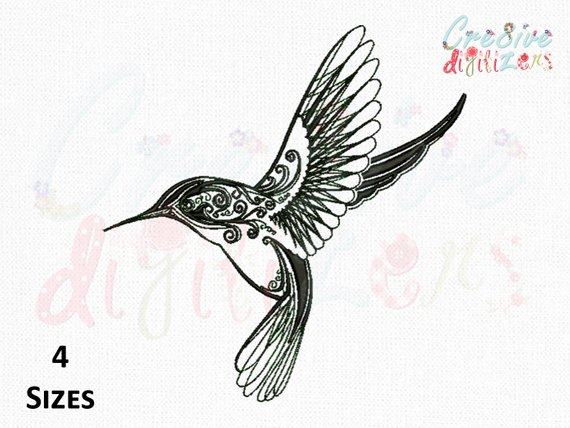 570x428 Hummingbird Sketch Embroidery Design Hummingbird Sketch Etsy - Hummingbird Sketch Images