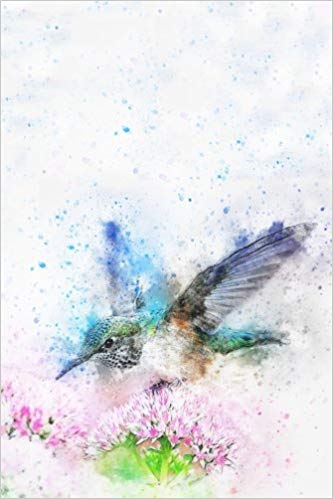 333x499 Journal Beautiful Hummingbird Sketch, Blank Journal, Notebook - Hummingbird Sketch Images