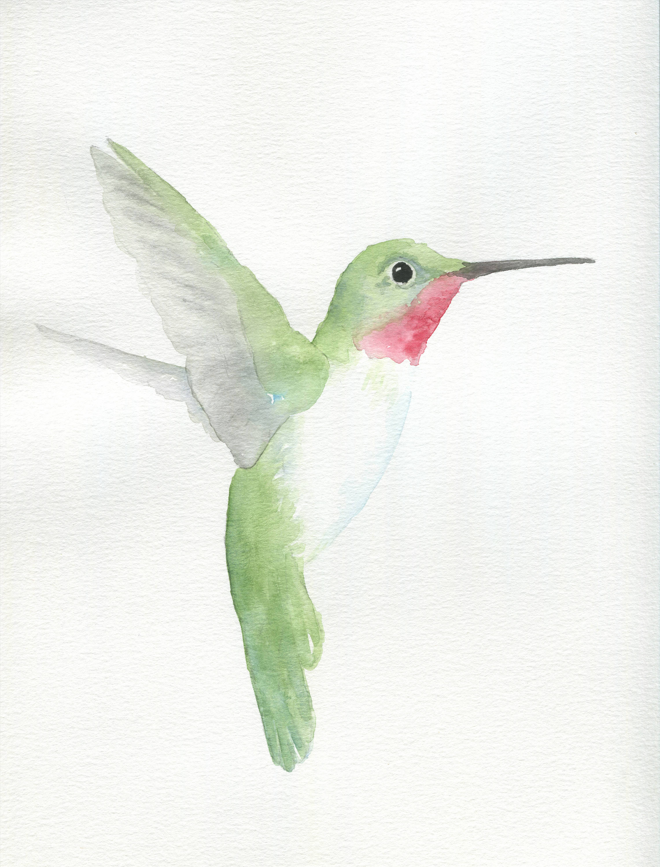 2282x3000 Watercolor Hummingbird Sketch Hummingbird Print Etsy - Hummingbird Sketch Images