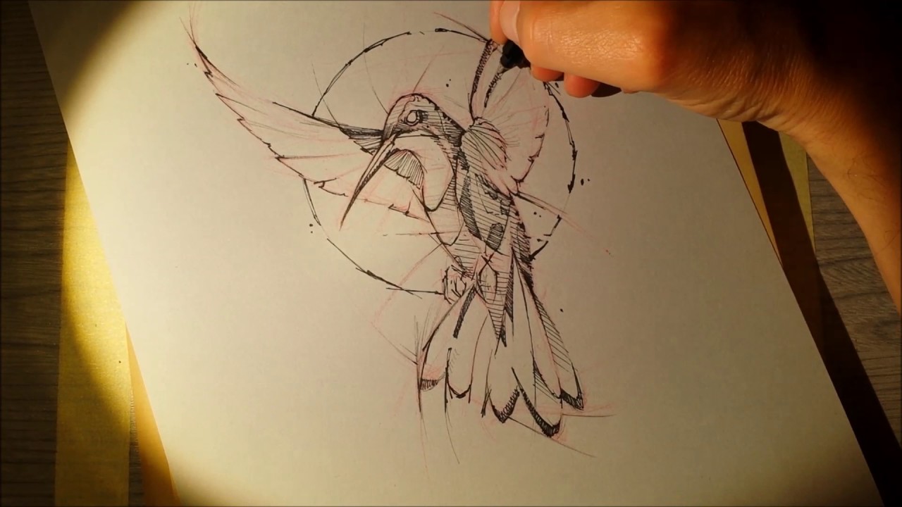 1280x720 Hummingbird Sketch Time Lapse Psdelux - Hummingbird Sketch Images