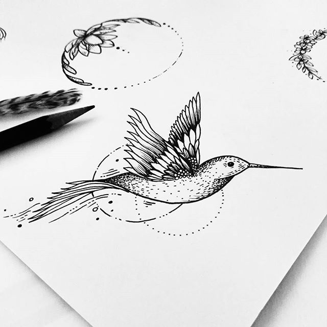 640x640 For Grandma S. Tattoo Tattoos, Hummingbird Tattoo - Hummingbird Sketch Tattoo