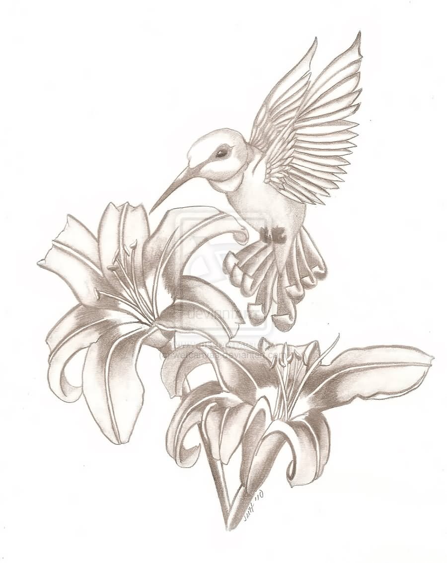 900x1133 Grey Hummingbird And Flowers Tattoos Design Sketch - Hummingbird Sketch Tattoo