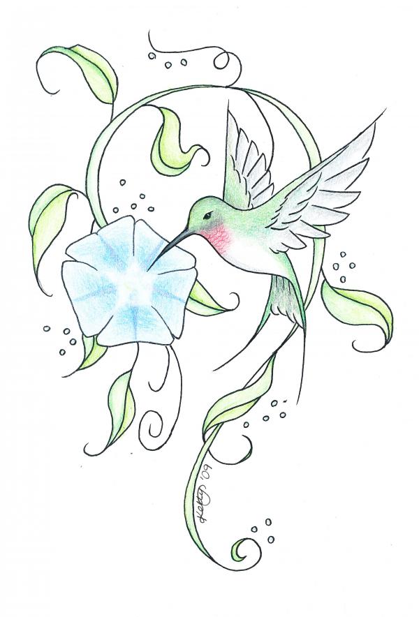 600x884 Hummingbird Tattoo Sketch By Meryllknight - Hummingbird Sketch Tattoo
