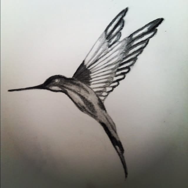 Unique Hummingbird Tattoos - Hummingbird Sketch Tattoo. 