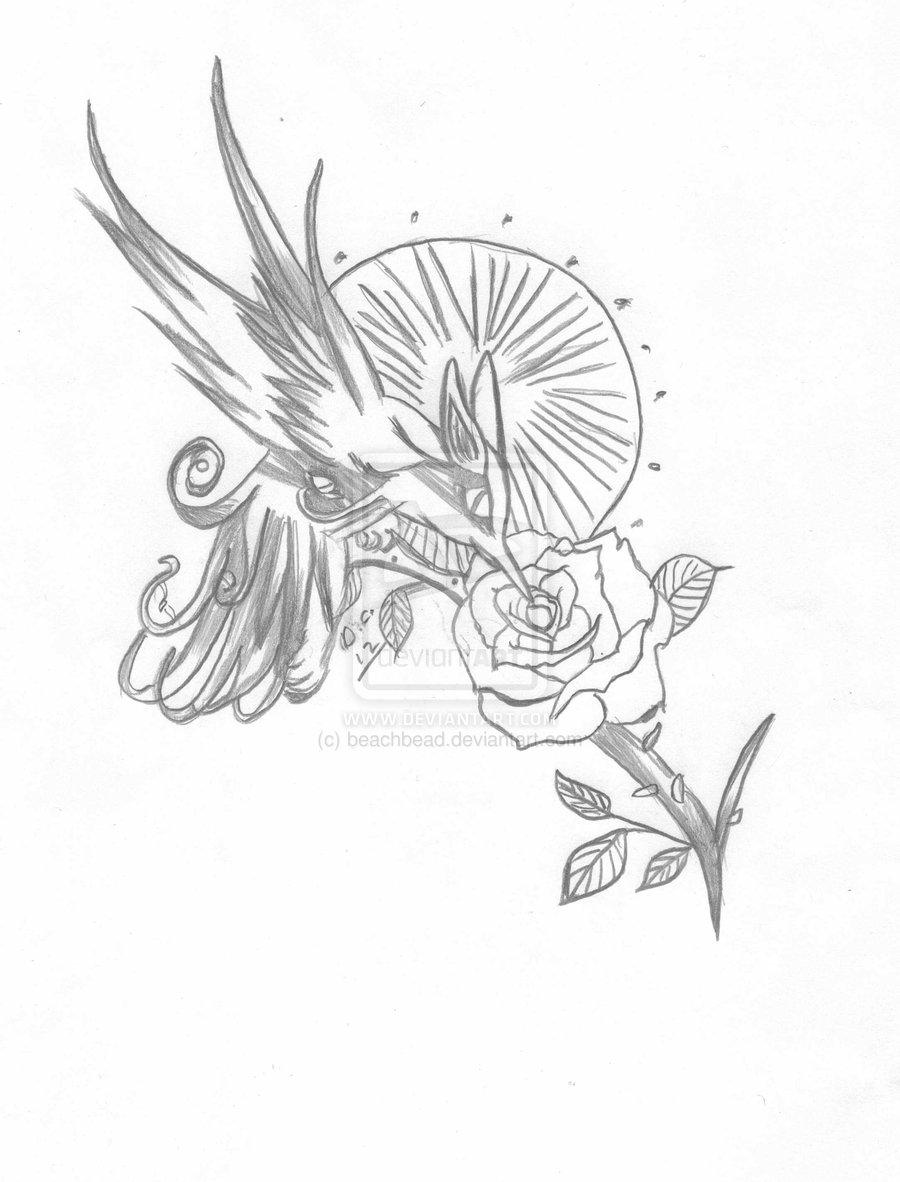 900x1182 Hummingbird N Rose Tattoo Sketch Tattoo Ideas - Hummingbird Sketch Tattoo