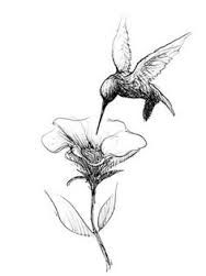 188x251 Image Result For Small Simple Hummingbird Tattoo Tattoos I Might - Hummingbird Sketch Tattoo