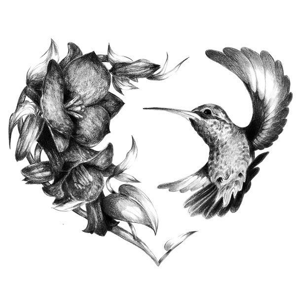 Hummingbird Sketch Tattoo at PaintingValley.com | Explore collection of ...