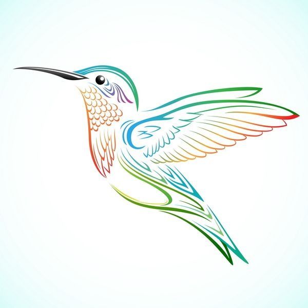 600x600 Bird Tattoo Tattoos Bird, Tattoo And Hummingbird - Hummingbird Sketch Tattoo