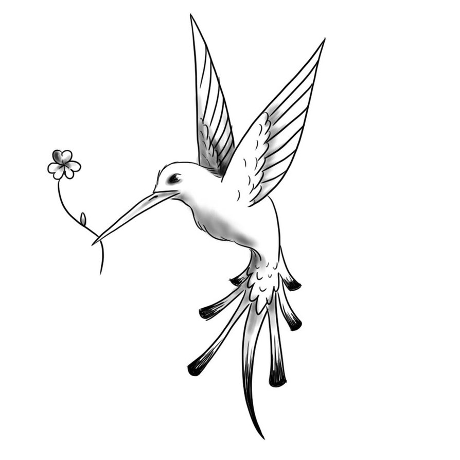 894x894 Flying Hummingbird Tattoo Sketch Design - Hummingbird Sketch Tattoo