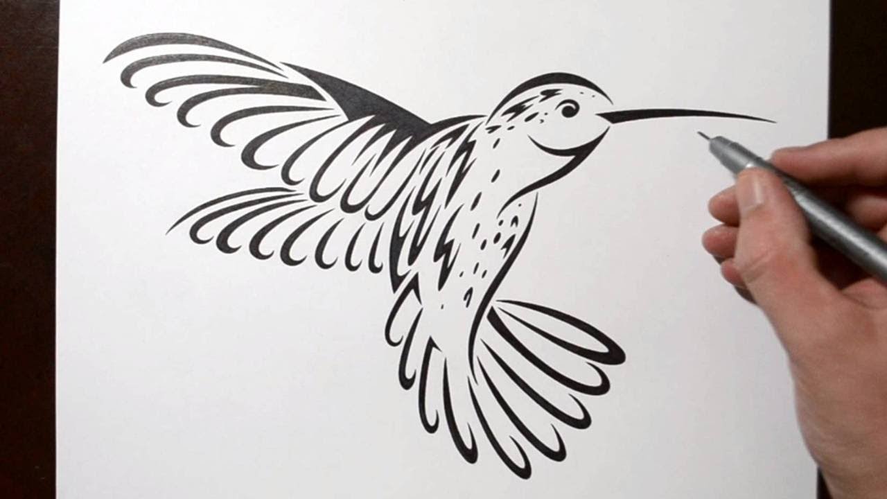1280x720 How To Draw A Hummingbird - Hummingbird Tattoo Sketch