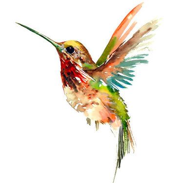 375x375 Hummingbird Tattoo Colorful Design Sketch Of Hummingbird - Hummingbird Tattoo Sketch