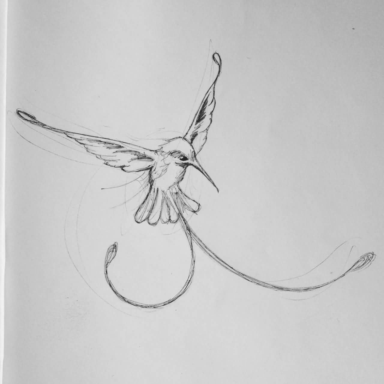 1280x1280 Hummingbird Tattoo Ideas And Hummingbird Tattoo Designs - Hummingbird Tattoo Sketch