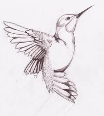 213x237 Hummingbird Tattoos Designs, Hummingbird Tattoos Ideas - Hummingbird Tattoo Sketch