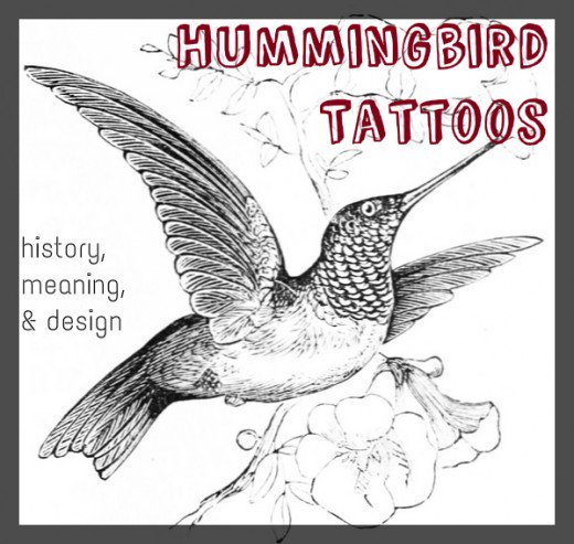 Hummingbird Tattoo Sketch at PaintingValley.com | Explore collection of ...