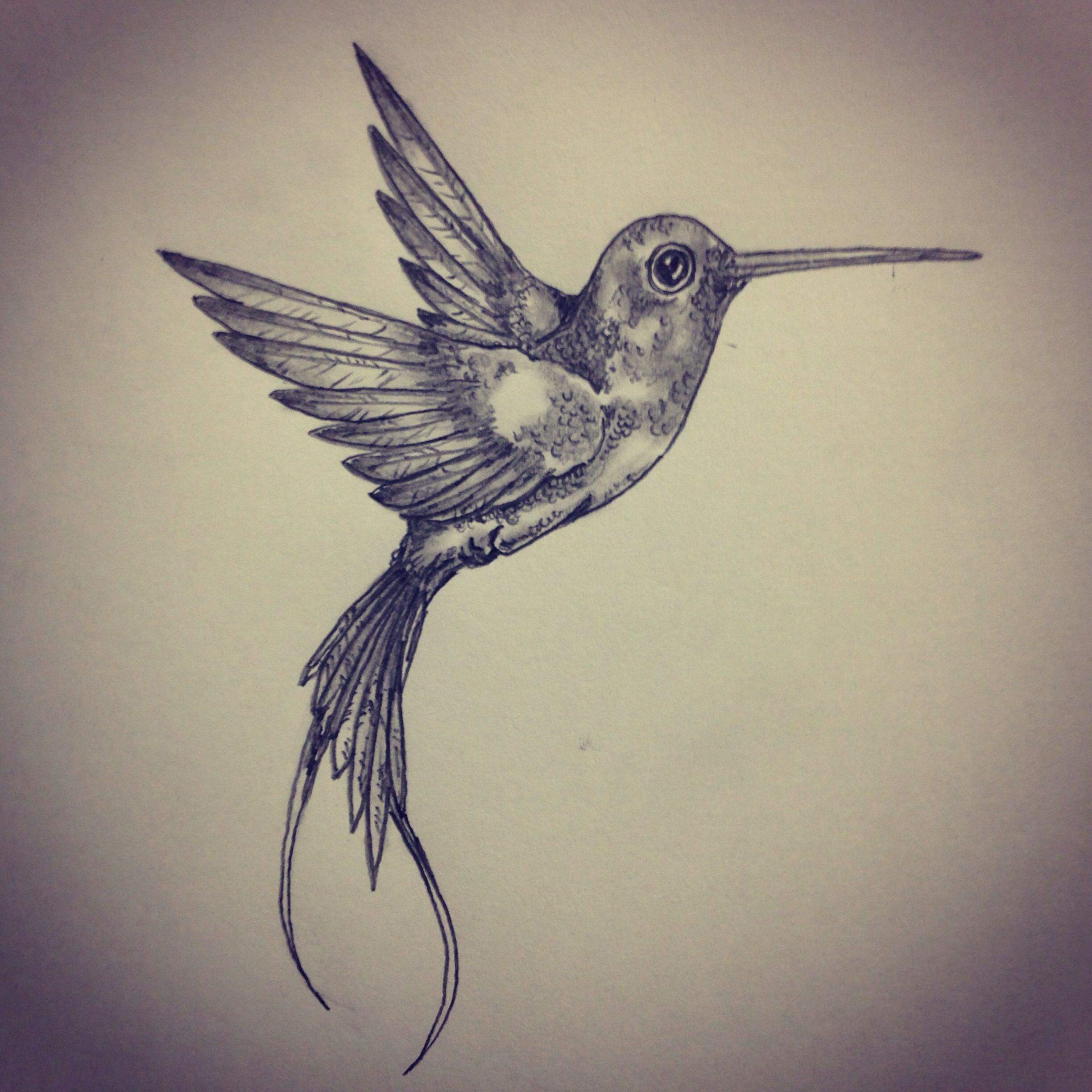 2448x2448 Hummingbird Tattoo Sketch By Tattoo Art Sketches - Hummingbird Tattoo Sketch