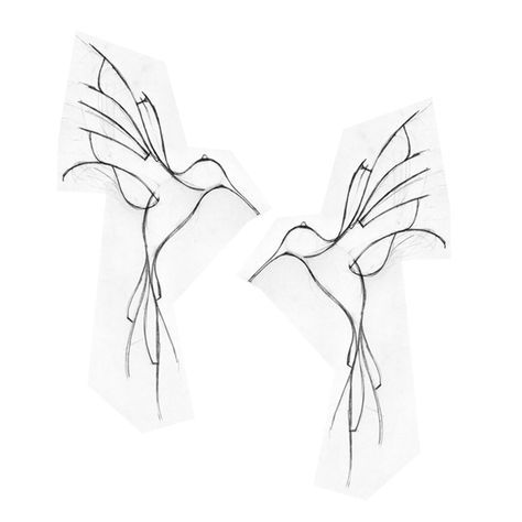 474x474 Hummingbird - Hummingbird Tattoo Sketch