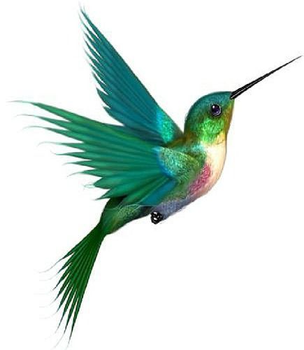 435x500 Image Result For Tiny Hummingbird Tattoos Tattoos I Like - Hummingbird Tattoo Sketch