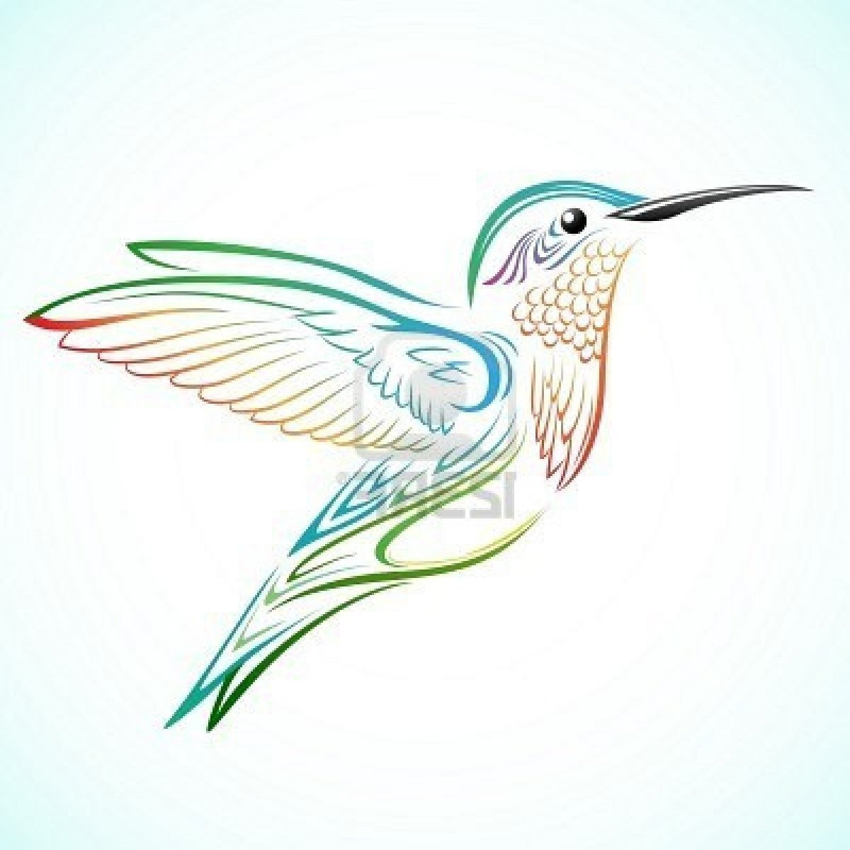 1200x1200 Tribal Hummingbird Tattoos Tribal Hummingbird Tattoo Sketch - Hummingbird Tattoo Sketch